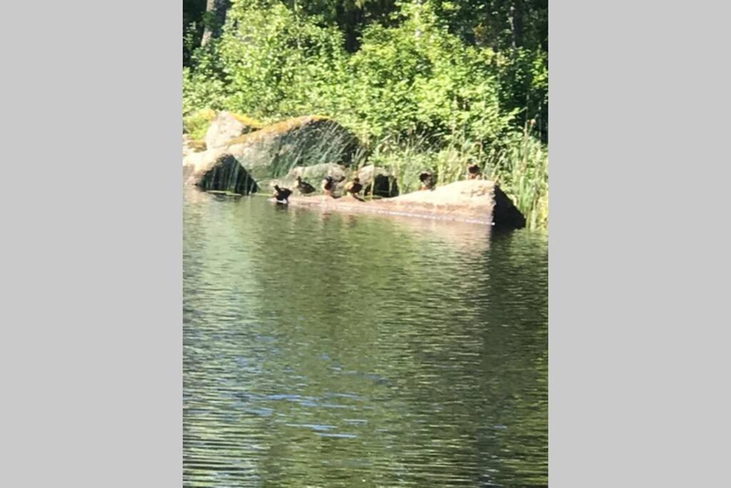 Vacker Hus I Naturen Froseke Luaran gambar